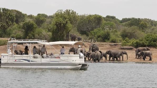 Boat Safari