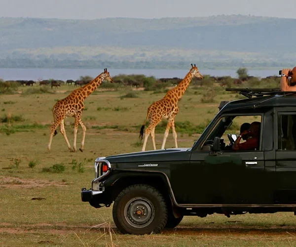 Game Drives